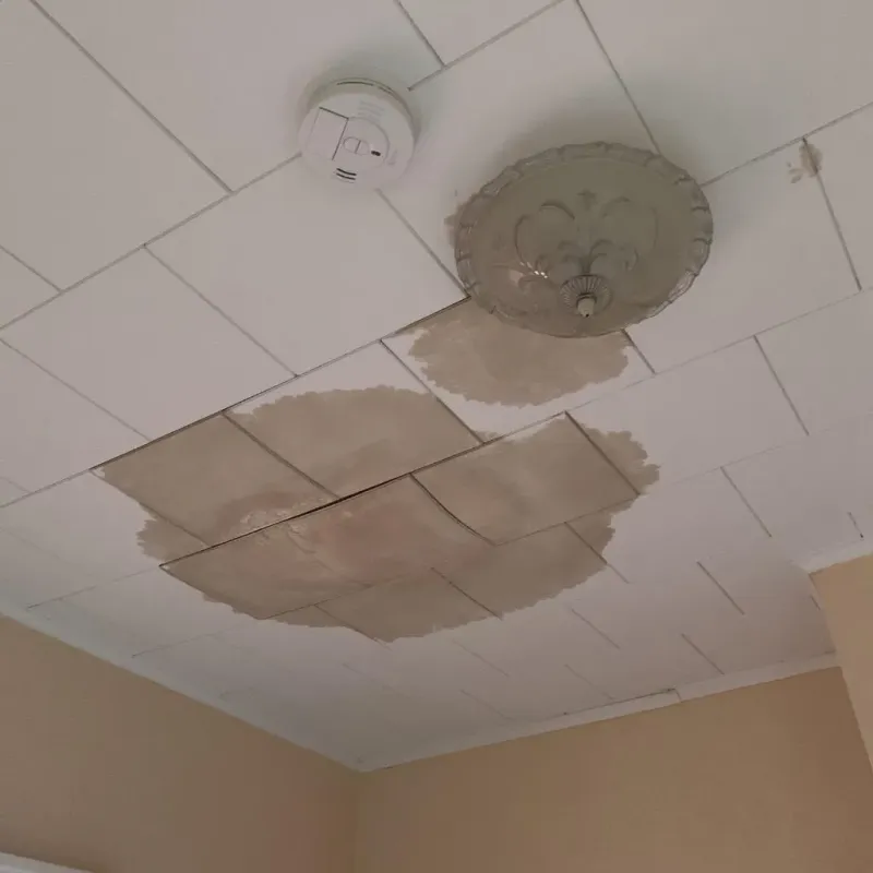 Ceiling Water Damage Repair in Rockland, MA