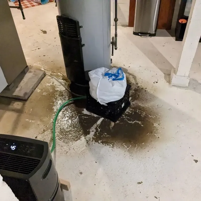 Sewage Backup Cleanup Service in Rockland, MA